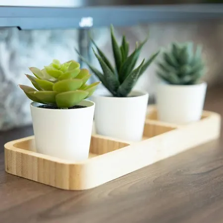 Ivory Seafront With Views!- Fl 10 By Homely Apartament