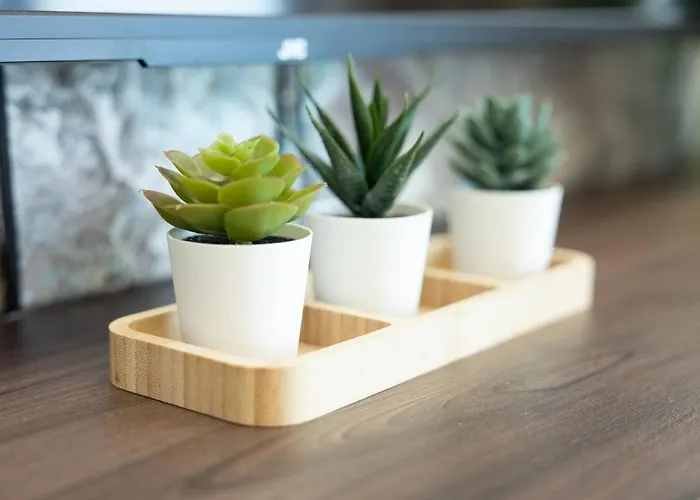 Ivory Seafront With Views!- Fl 10 By Homely Apartment