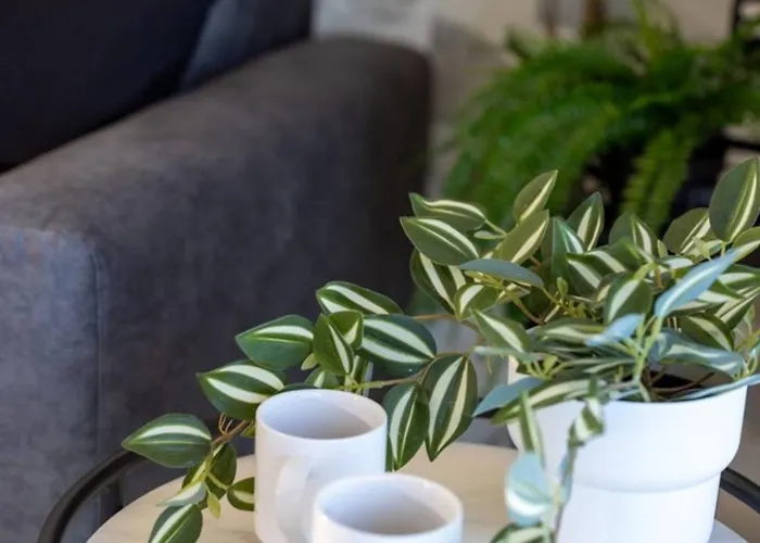 Apartment Ivory Seafront With Views!- Fl 10 By Homely *